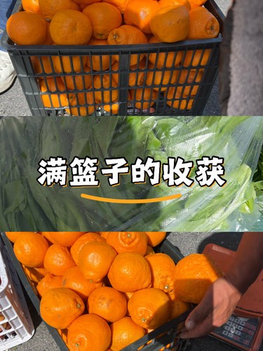 菜市场的诱惑