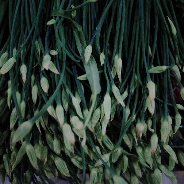 怎样让菜刀不生锈