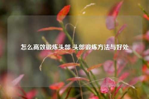 怎么高效锻炼头部 头部锻炼方法与好处