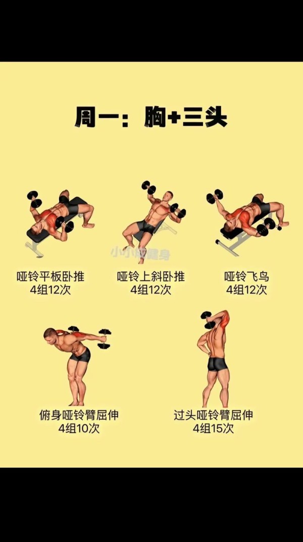 锻炼有哪些运动方式