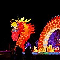 过大年,回老家
