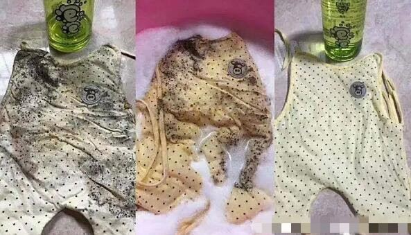 衣服上的霉点怎样才能去掉（5个去除衣服霉点小妙招）-第1张图片-飞扬号