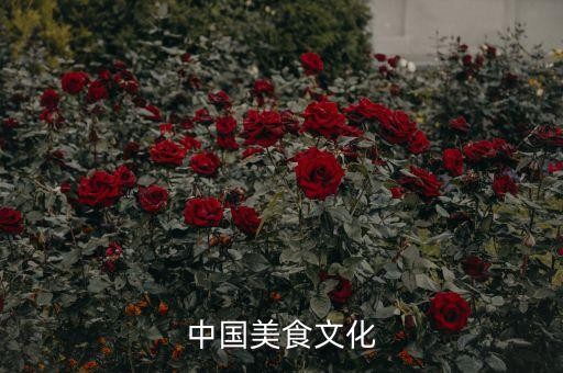 中国美食文化