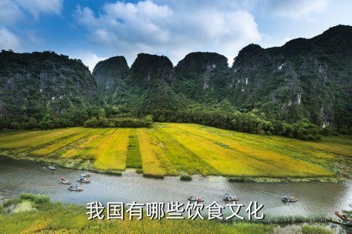 我国有哪些饮食文化