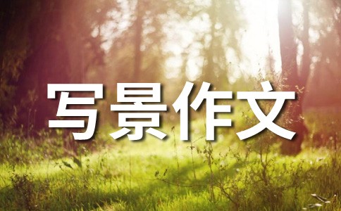 快乐的乡村生活