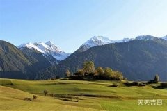 琴叶榕放办公室的寓意解读