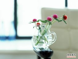 揭秘花瓶风水:必知的摆放技巧与家居和谐秘诀