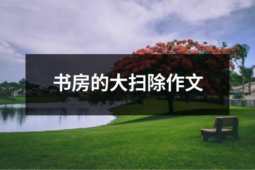 书房的大扫除作文