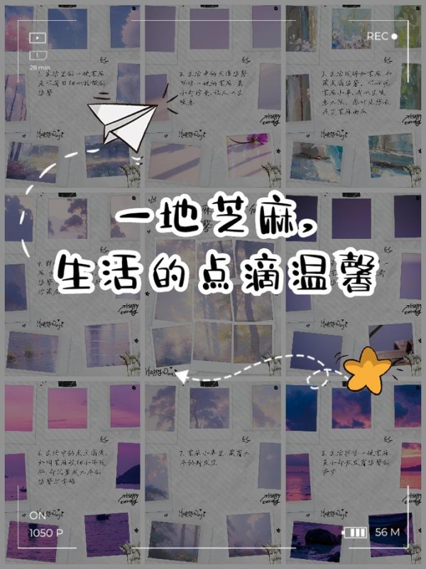 生活有哪些中的小事