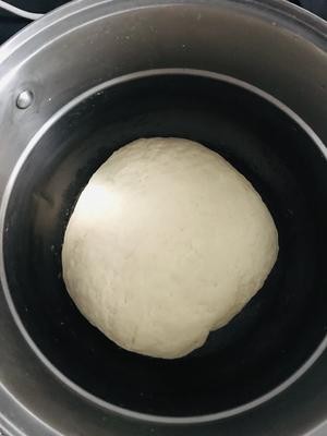 手把手教你做包子 详解(附擀皮及包子收口视频)的做法 步骤3