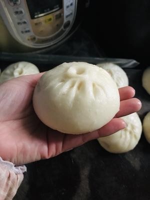 手把手教你做包子 详解(附擀皮及包子收口视频)的做法 步骤11