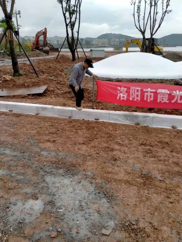 网红蹦蹦云