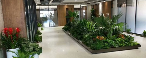 绿植租赁方案