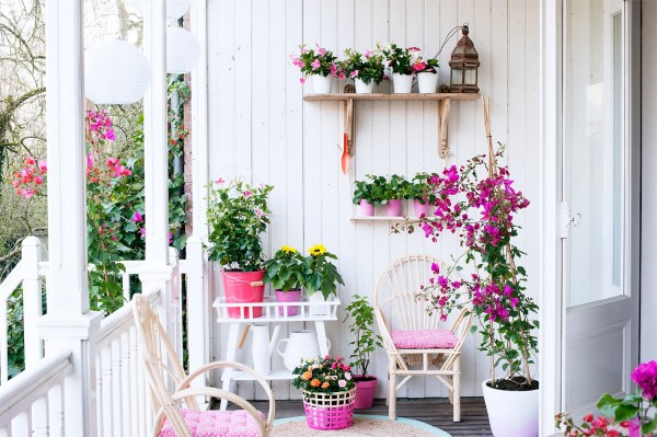Sommergarten, Pflanzenfreude.de Pflanzenfreude.de 庭院 植物與花