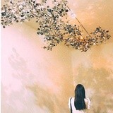 星野结夏
