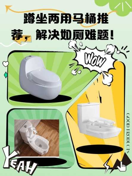 留学生如何应对厕所难题？怎么解决生活不便？ 第1张