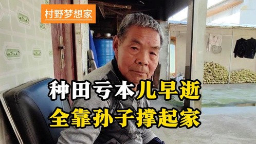种田亏本儿早逝全靠孙子撑起家（横）