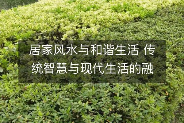 居家风水与和谐生活 传统智慧与现代生活的融合