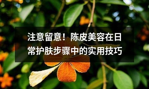 注意留意！陈皮美容在日常护肤步骤中的实用技巧