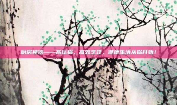 厨房神器——高压锅,高效烹饪,健康生活从锅开始!