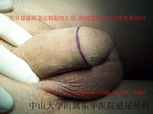 wKgBL1HxSd6AWMXiAAE7uh_xHyE980_600_600_1[1].jpg