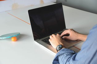 揭秘未来家庭生活助手—家庭管家机器人品牌大盘点