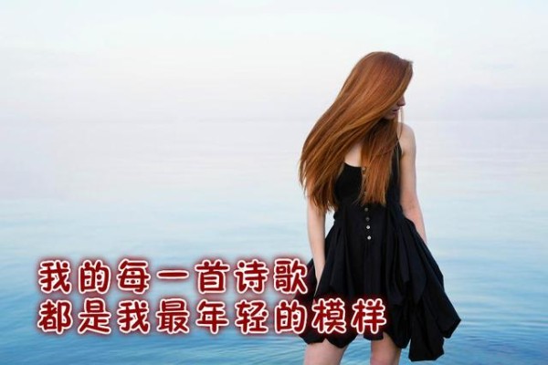 生活的哲学，我来告诉你