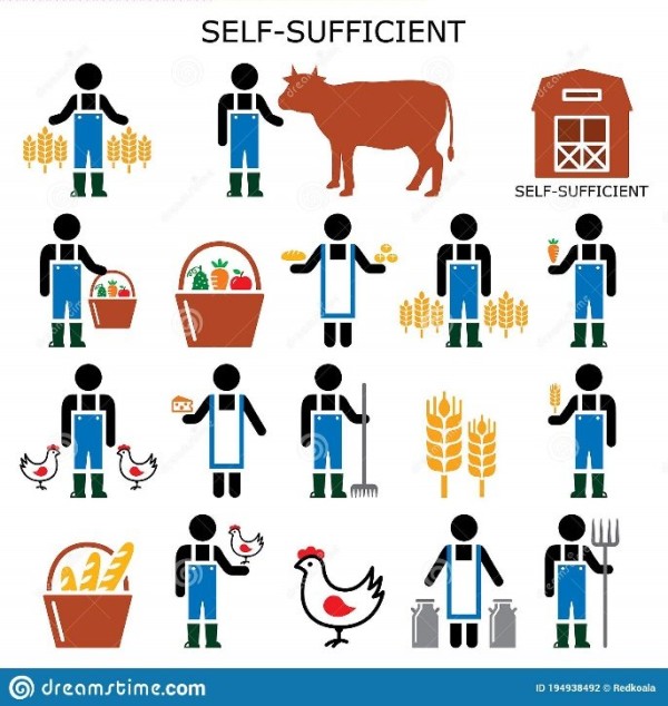 可持续生活|您的可持续生活指南