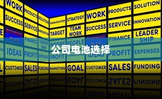 公司电车电池选型策略