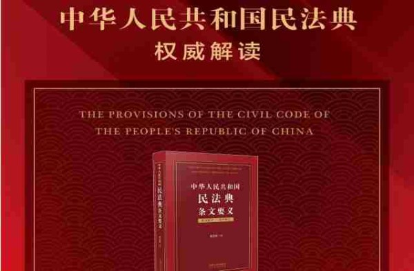 民法典条文释义 