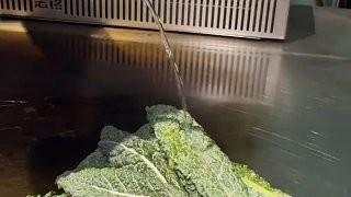998一份卖给上海人!!!来大城市见世面了!!山猪儿吃不来,就是有点难嚼。
