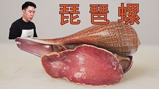 花几百块钱买的大琵琶螺,牙能被崩掉几个,中看不中用