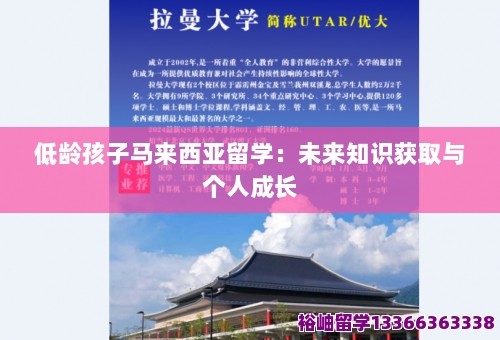 低龄孩子马来西亚留学：未来知识获取与个人成长 第1张