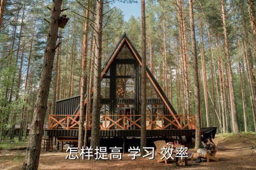 怎样提高 学习 效率