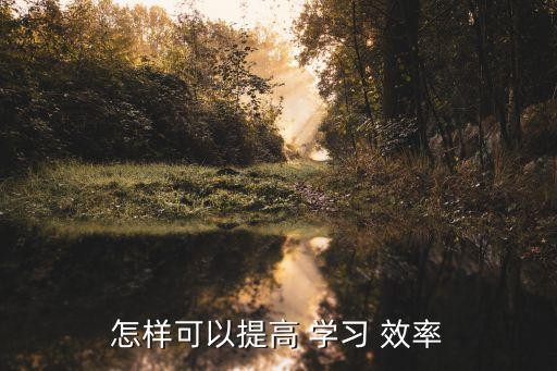 怎样可以提高 学习 效率