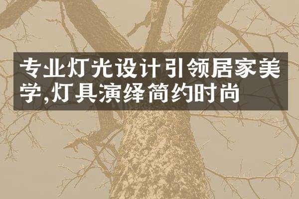 专业灯光设计引领居家美学,灯具演绎简约时尚