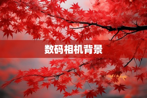数码相机背景