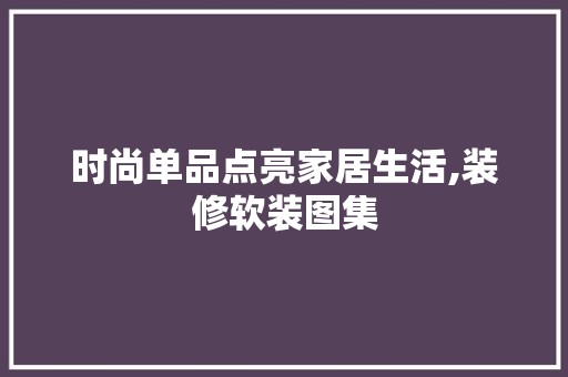 时尚单品点亮家居生活,装修软装图集 室内设计