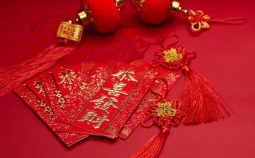 几种最旺家的绿植有哪些