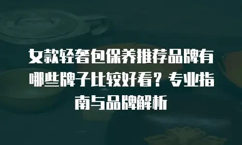 女款轻奢包保养推荐品牌有哪些牌子比较好看？专业指南与品牌解析