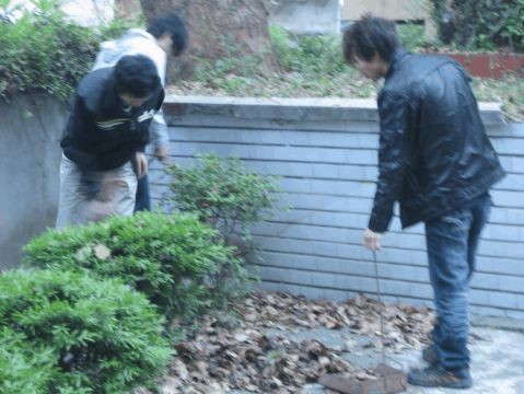 志愿者打扫卫生简讯