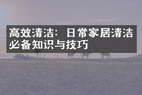 高效清洁：日常家居清洁必备知识与技巧