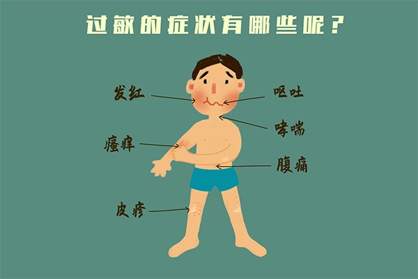 过敏;过敏体质;过敏性疾病