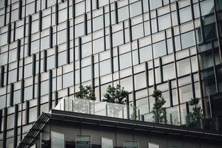 湖北墙面艺术涂料品牌推荐—探索艺术与生活的完美融合