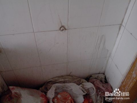 装修如何去除油漆污渍_地毯上污渍怎么去除_地坪油漆如何清洗污渍