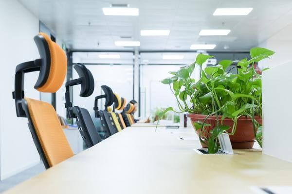 林下景观灯光设计方案：营造浪漫氛围与安全环境的完美平衡图1