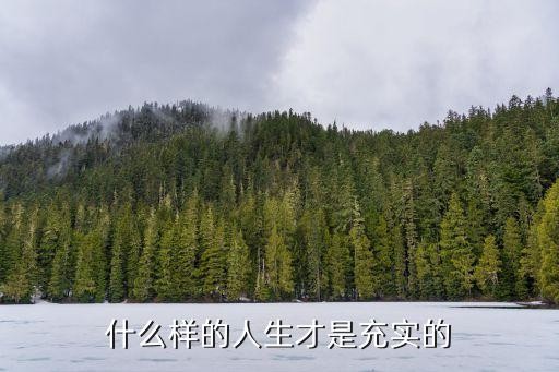 什么样的人生才是充实的