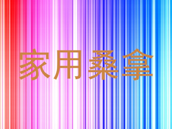 家用桑拿