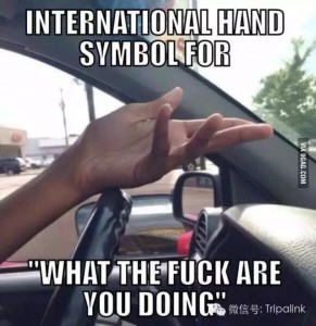 holidale-us-driving-gesture-guide11