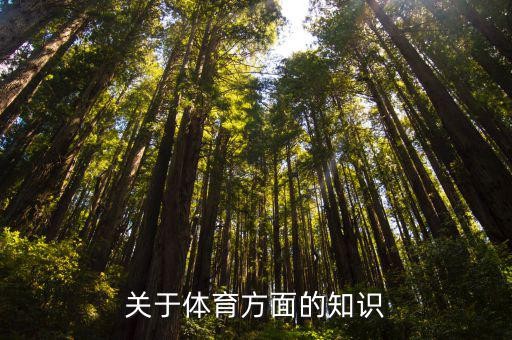 关于体育方面的知识